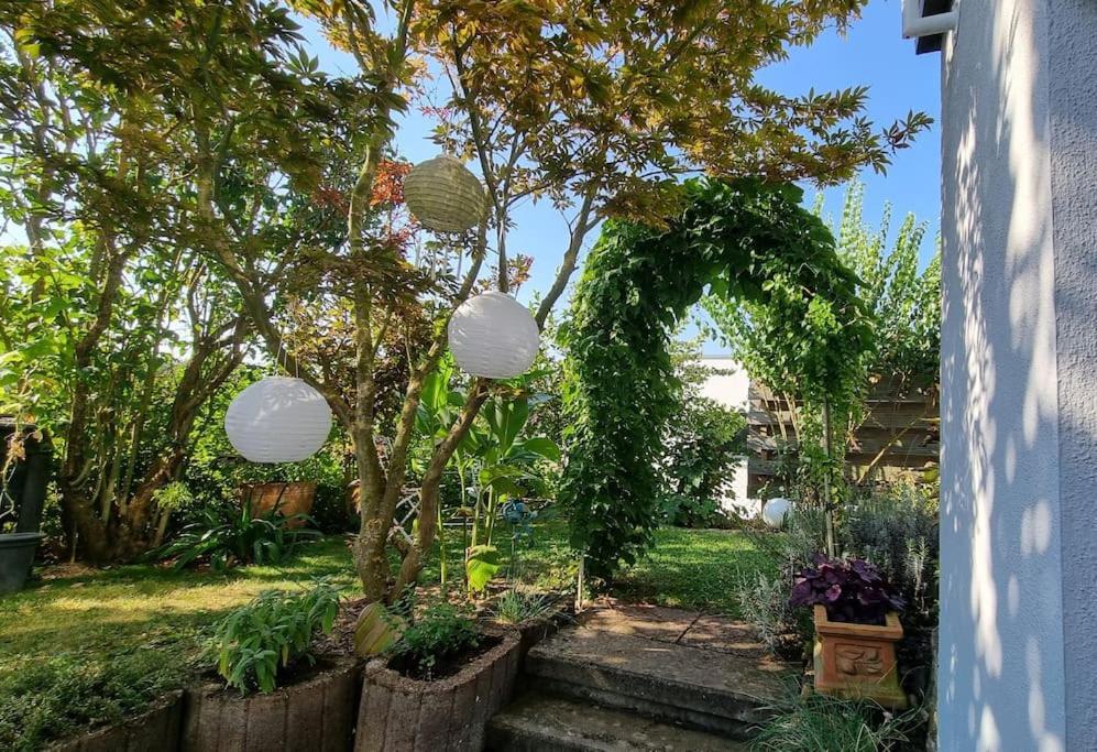 Ulli'S Oase Apartment Uettingen Екстериор снимка